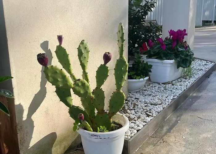 게스트하우스 D&d